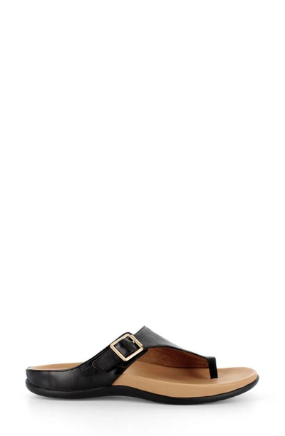 Strive Java Slide Sandal In Black