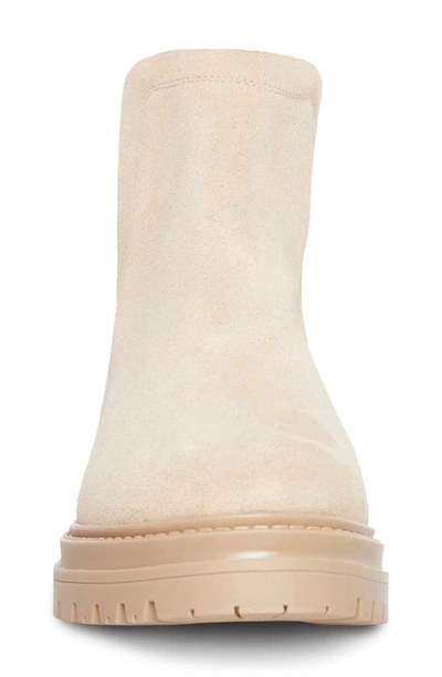 STEVE MADDEN MOIRA CHELSEA BOOT 