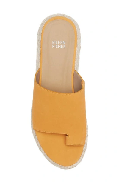 Shop Eileen Fisher Tarry Toe Loop Espadrille Wedge Slide Sandal In Mango