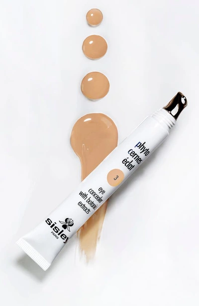 Shop Sisley Paris Phyto-cernes Éclat Eye Concealer In 3