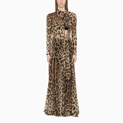 Shop Dolce & Gabbana Leopard-print Silk Long Dress In Brown