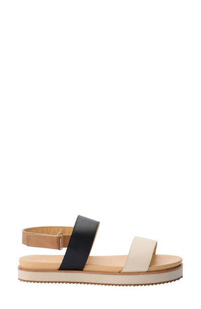 Shop Nisolo Go-to Flatform Slingback Sandal In Bone/ Black