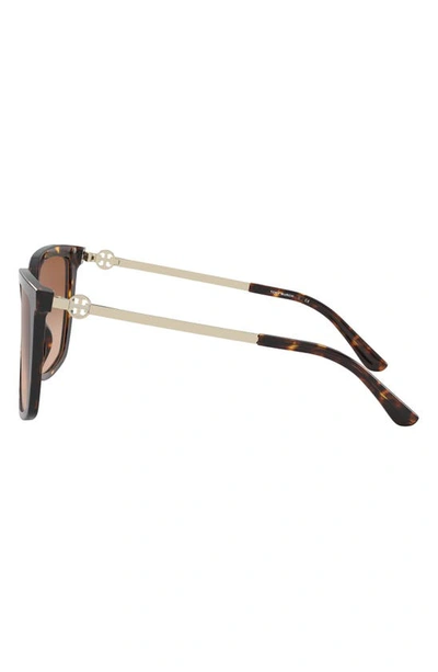 Shop Tory Burch 55mm Square Sunglasses In Dark Tortoise/ Brown Gradient