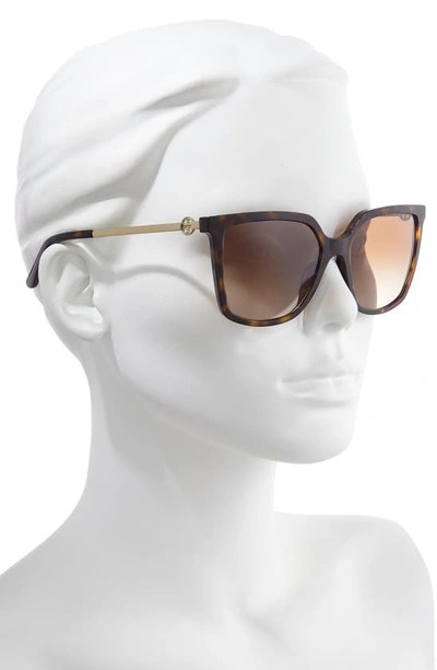 Shop Tory Burch 55mm Square Sunglasses In Dark Tortoise/ Brown Gradient