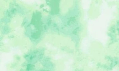 Love By Design Catherine Long Sleeve Mesh Babydoll Dress In Sage Tie Dye