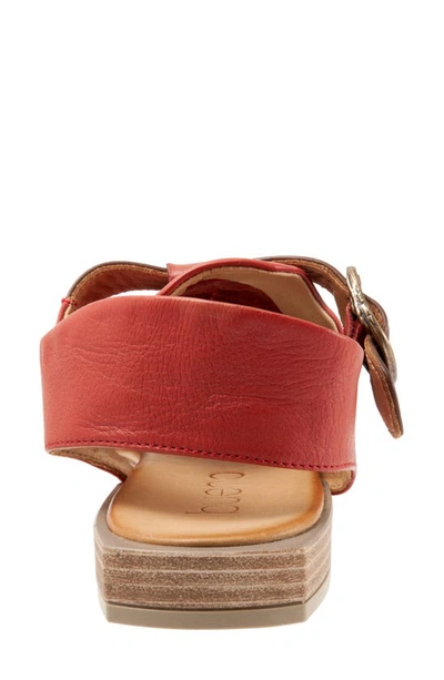 Shop Bueno Ava Buckle Sandal In Terracotta