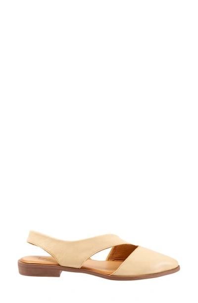 Shop Bueno Bianca Pointed Toe Slingback Flat In Chick