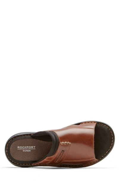 Shop Rockport Darwyn Slide 2 Sandal In Coach Brown