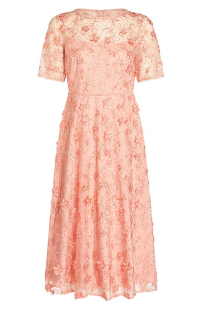 Shop Adrianna Papell Embroidered Fit & Flare Dress In Peach Blossom