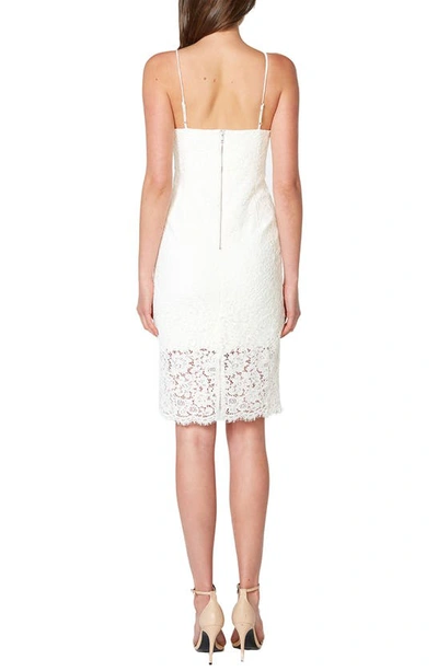 Shop Bardot Sienna Lace Cocktail Dress In Ivory