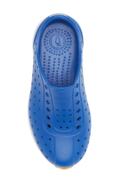 Shop Native Shoes Robbie Sugarlite Slip-on Shoe In Victoria Blue/ Shell White