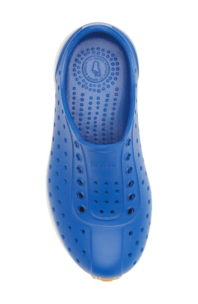 Native Shoes Robbie Sugarlite Slip-on Shoe In Victoria Blue/ Shell White