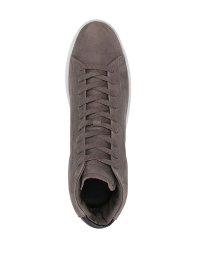 Shop Essentials Lace-up High-top Sneakers In Brown