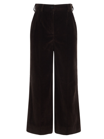 Shop Dolce & Gabbana Pleated Velvet Pants In Brown