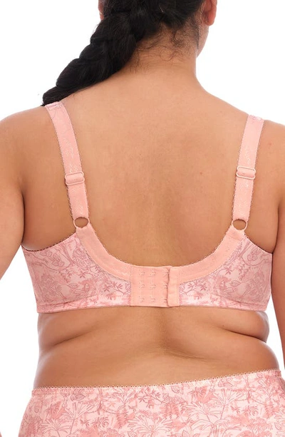 Elomi Women's Mariella Underwire Bra El4420 In Peachy Tiger