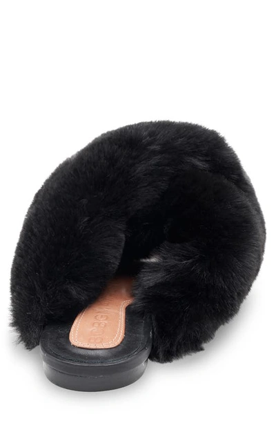 Shop Bcbgmaxazria Thea Faux Fur Slipper In Black