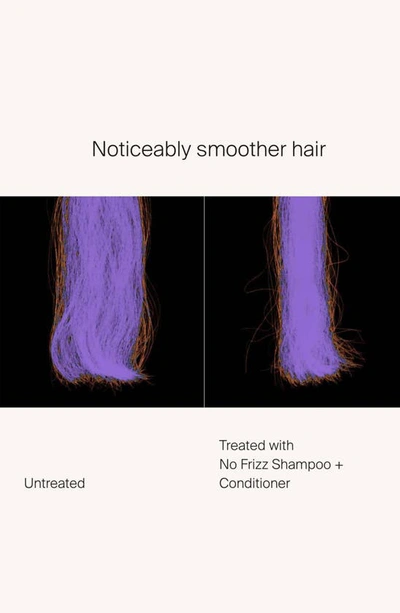 Living Proof ® No Frizz Shampoo