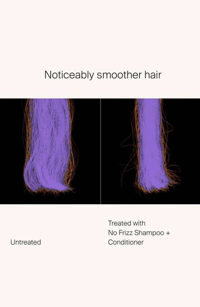 Living Proof ® No Frizz Conditioner