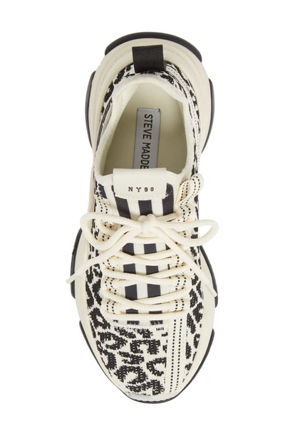 Shop Steve Madden Maxima Monochrome Knit Sneaker In Leopard