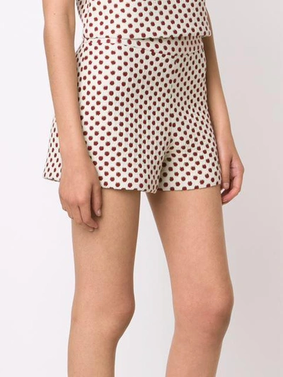 Shop Alice And Olivia 'marisa' Shorts