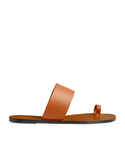 Shop All Tomorrow's Parties Leather Astrid Sandals In Brown