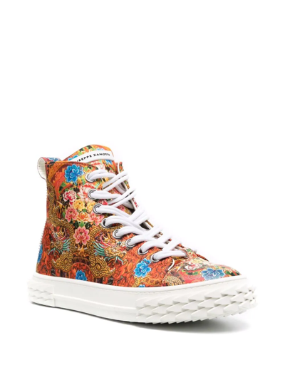 Giuseppe Zanotti Floral-print Sneakers In Orange