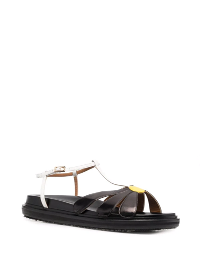 Shop Marni Fussbett Floral-appliqué Flat Sandals In Black