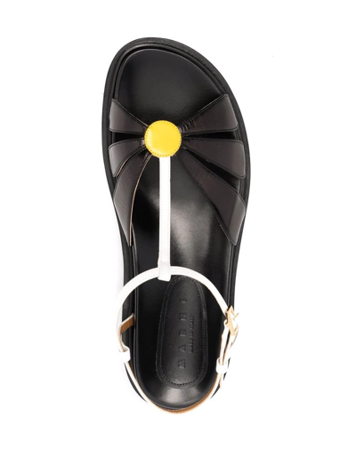 Shop Marni Fussbett Floral-appliqué Flat Sandals In Black