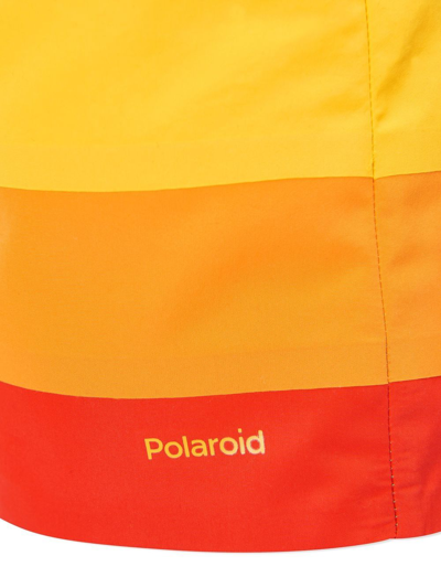 Shop Lacoste X Polaroid Rainbow-stripe Shorts In Multicolour