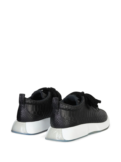 Shop Giuseppe Zanotti Ferox Lace-up Sneakers In Black