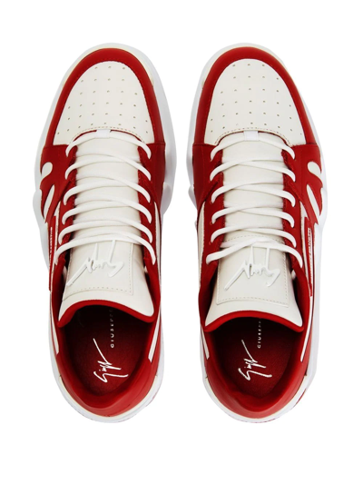 Giuseppe Zanotti Talon Lace-up Sneakers In Red