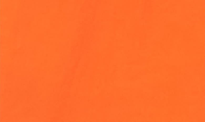 Shop Abound Nylon Shorts In Orange Cracker