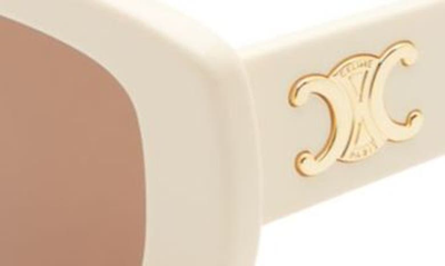 Shop Celine Triomphe 55mm Rectangular Sunglasses In Ivory / Brown