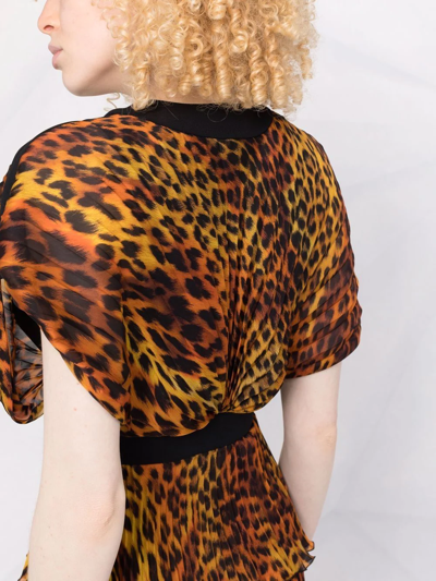 Roberto Cavalli Leopard-print Long Evening Dress In Black