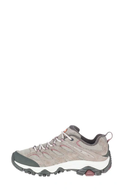 Merrell Moab 3 Hiking Shoe In Falcon