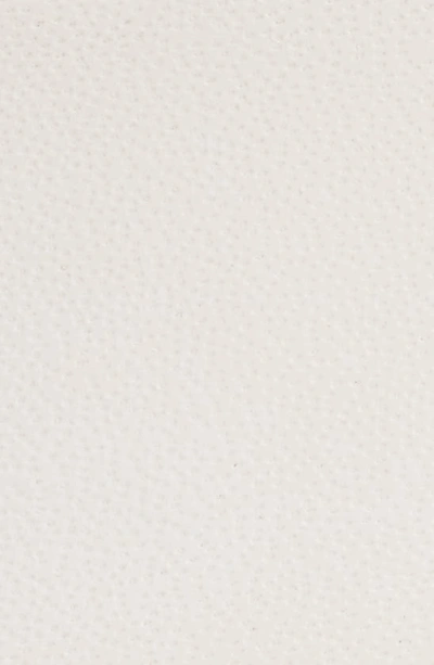 Kate Spade Bow Belt In Parchment