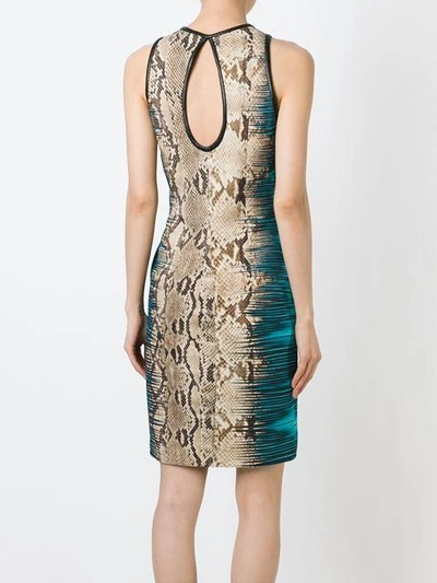 Shop Roberto Cavalli Snakeskin Print Dress In D1415 Multi