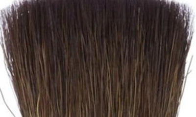 Trish Mcevoy Brush 10 Onesweep Color Brush