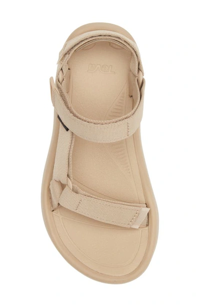 Shop Teva Hurricane Xlt 2 Ampsole Sandal In Sesame