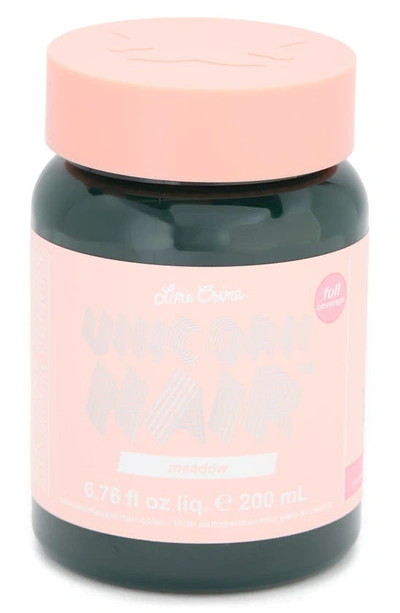 Shop Lime Crime Unicorn Hair Full Coverage Semi-permanent Hair Color In Meadow