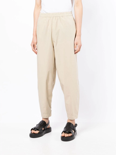 Shop Toogood Acrobat Tapered Trousers In Brown