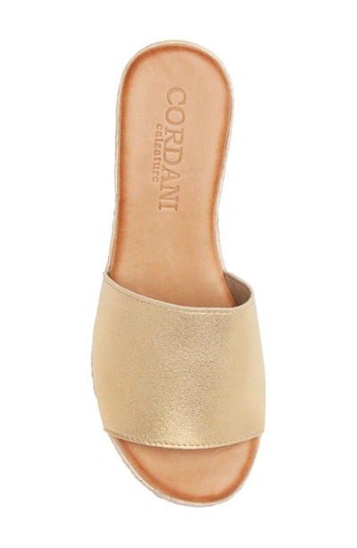 Shop Cordani Buffy Espadrille Platform Sandal In Gold