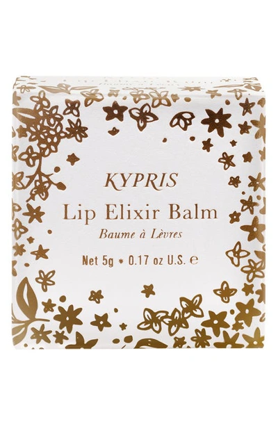 Shop Kypris Lip Elixir Balm