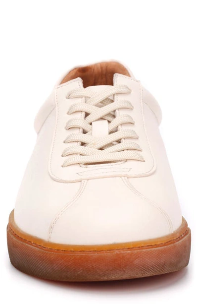 Shop Gentle Souls By Kenneth Cole Nyle Sneaker In White