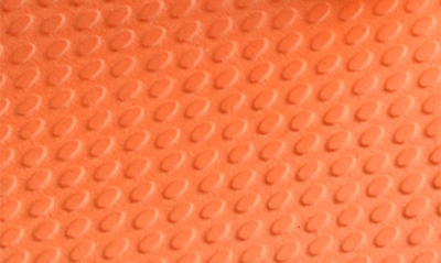 Havaianas Brazil Flip Flop In Begonia Orange