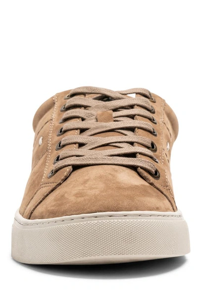 Shop Rodd & Gunn Endeavour Spirit Leather Sneaker In Marrone Chiaro