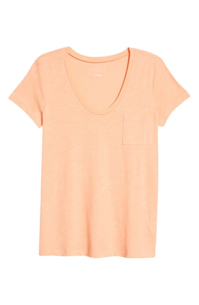 Shop Caslon Rounded V-neck T-shirt In Coral Pink