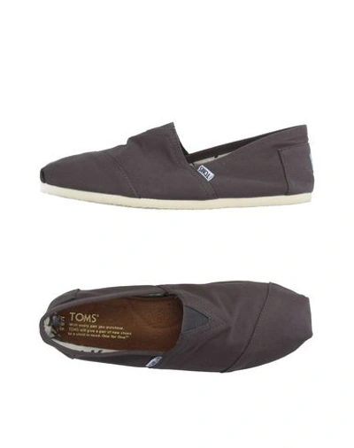 Shop Toms Loafers In Dove Grey