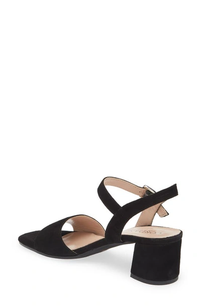 Cordani Irisse Block Heel Sandal In Black Suede