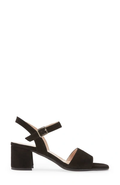 Cordani Irisse Block Heel Sandal In Black Suede
